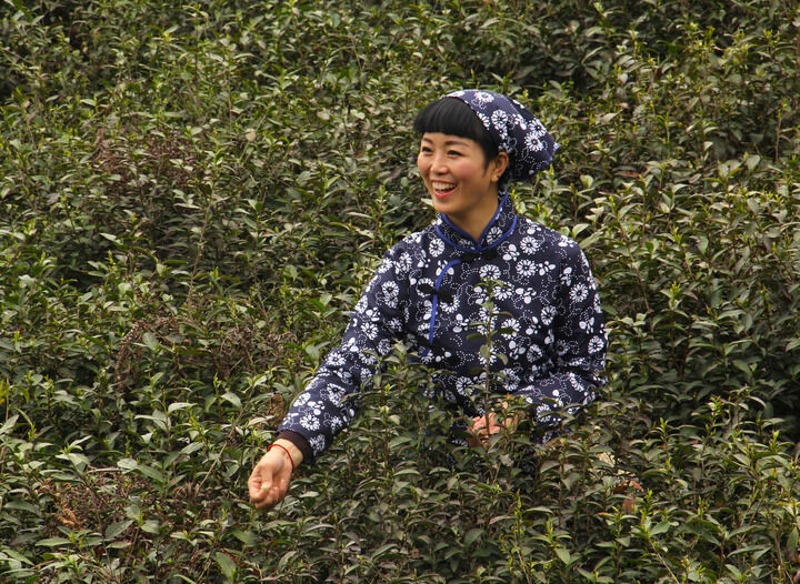 雨伞魅影